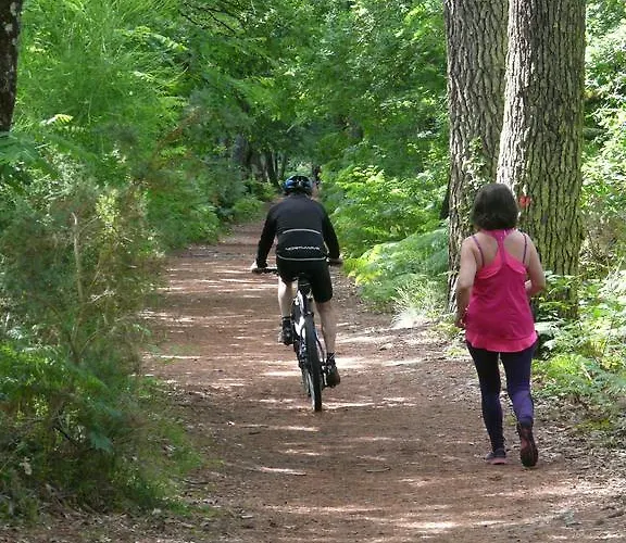 Semesterbostad Maison Classee 3* *